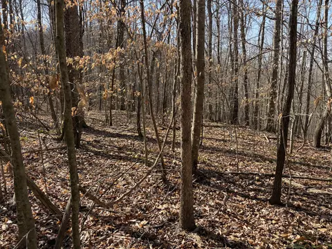 1901 Dixie Bend Rd, Burnside, KY 42519 photo 14