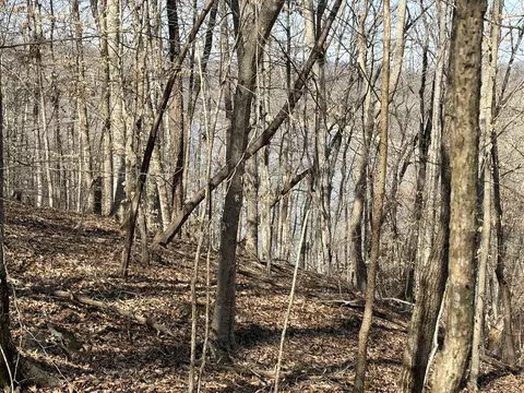 1901 Dixie Bend Rd, Burnside, KY 42519 photo 9