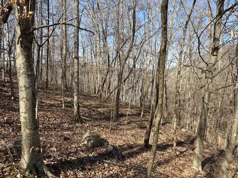 1901 Dixie Bend Rd, Burnside, KY 42519 photo 10