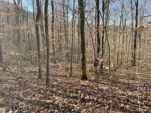 1901 Dixie Bend Rd, Burnside, KY 42519 photo 3