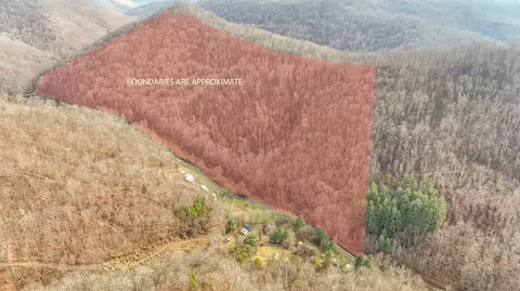 0 Hinkle Paynes Creek 215253, Hinkle, KY 40953