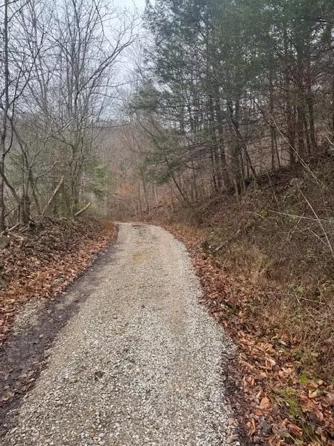 9999 Shottons Mtn, Helton, KY 40840