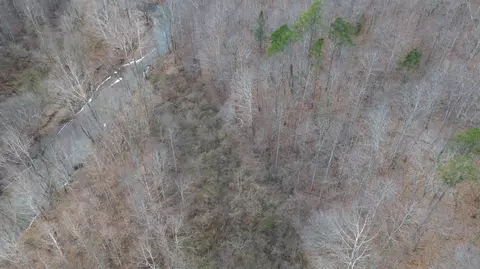 175 Improvement Br # A, Jackson, KY 41339 photo 14