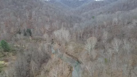 175 Improvement Br # A, Jackson, KY 41339 photo 11