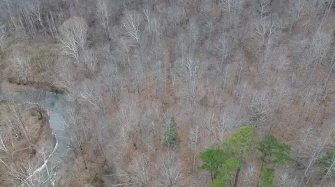 175 Improvement Br # A, Jackson, KY 41339 photo 12