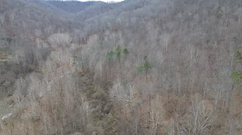 175 Improvement Br # A, Jackson, KY 41339 photo 16