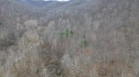 175 Improvement Br # A, Jackson, KY 41339 photo 15