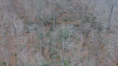 175 Improvement Br # A, Jackson, KY 41339 photo 7