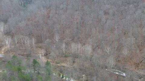 175 Improvement Br # A, Jackson, KY 41339 photo 3