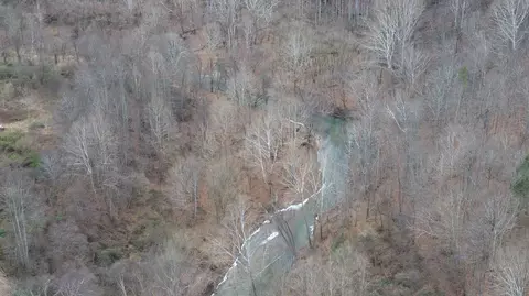 175 Improvement Br # A, Jackson, KY 41339 photo 4