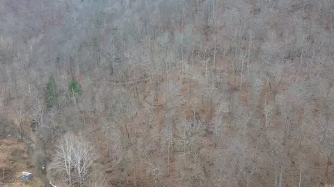 175 Improvement Br # A, Jackson, KY 41339 photo 20