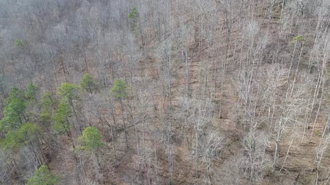 237 Meatscaffold Rd # A, Jackson, KY 41339 photo 8