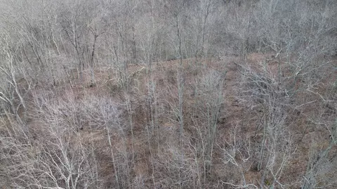 237 Meatscaffold Rd # A, Jackson, KY 41339 photo 17