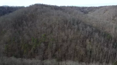 237 Meatscaffold Rd # A, Jackson, KY 41339 photo 15