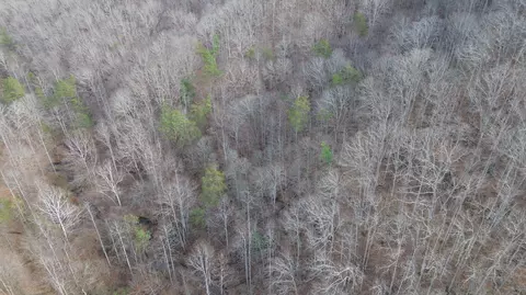 237 Meatscaffold Rd # A, Jackson, KY 41339 photo 24