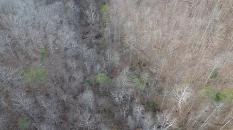 237 Meatscaffold Rd # A, Jackson, KY 41339 photo 31