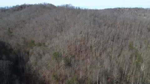 237 Meatscaffold Rd # A, Jackson, KY 41339 photo 14