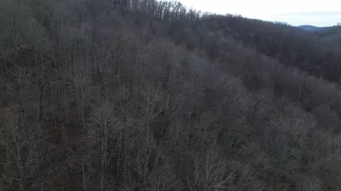237 Meatscaffold Rd # A, Jackson, KY 41339 photo 34