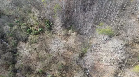 237 Meatscaffold Rd # A, Jackson, KY 41339 photo 11