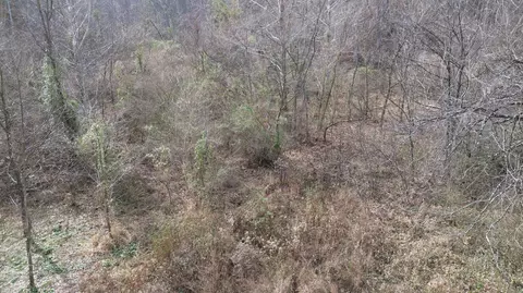 237 Meatscaffold Rd # A, Jackson, KY 41339