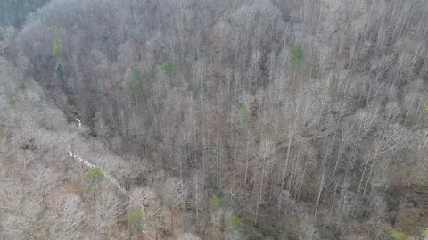 237 Meatscaffold Rd # A, Jackson, KY 41339 photo 28