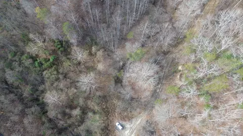 237 Meatscaffold Rd # A, Jackson, KY 41339 photo 36
