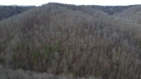 237 Meatscaffold Rd # A, Jackson, KY 41339 photo 32