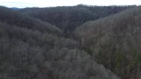 237 Meatscaffold Rd # A, Jackson, KY 41339 photo 33