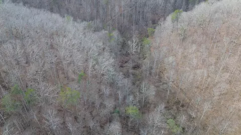 237 Meatscaffold Rd # A, Jackson, KY 41339 photo 29