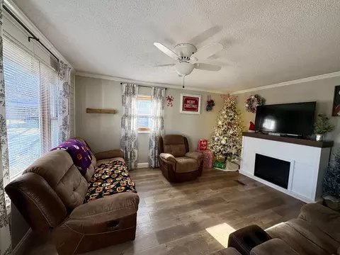 Living - 207 Foley Rd, Corbin, KY 40701 photo 3 of 4