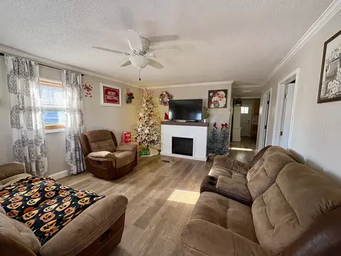 Living - 207 Foley Rd, Corbin, KY 40701 photo 4 of 4