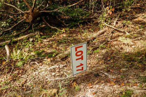 lot17 Hollertop Rd, Campton, KY 41301