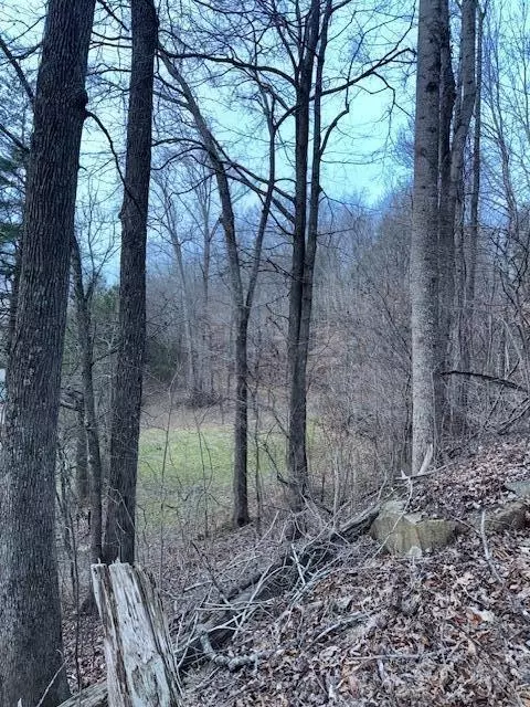 1 34 Acre King Mountain Rd, Williamsburg, KY 40769