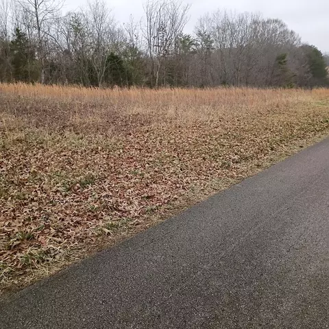 497 Old Bethel Rd, Monticello, KY 42633