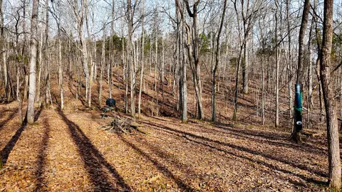 0000 Baxter Ridge Rd, Lawrenceburg, KY 40342