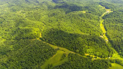 View/Area - 105 Chambers Fork Rd, Campton, KY 41301 photo 5 of 6