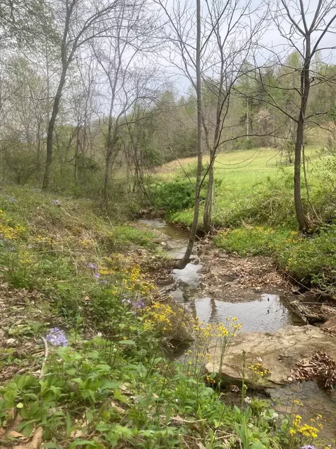 Other - 105 Chambers Fork Rd, Campton, KY 41301 photo 6 of 13