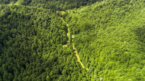 View/Area - 105 Chambers Fork Rd, Campton, KY 41301 photo 3 of 6