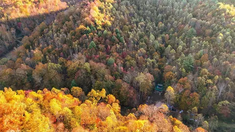 Other - 105 Chambers Fork Rd, Campton, KY 41301 photo 13 of 13