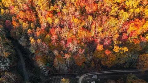 View/Area - 105 Chambers Fork Rd, Campton, KY 41301 photo 2 of 3