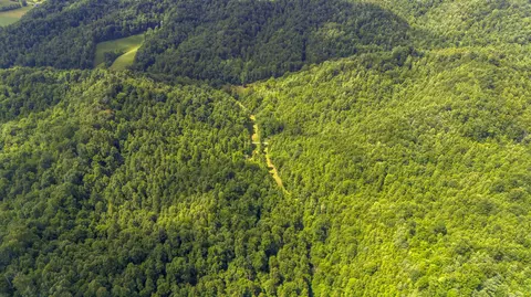 View/Area - 105 Chambers Fork Rd, Campton, KY 41301 photo 2 of 6