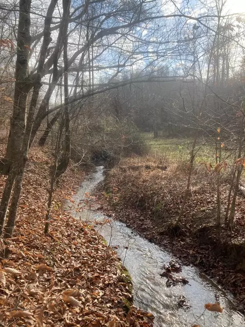 Other - 105 Chambers Fork Rd, Campton, KY 41301 photo 3 of 13