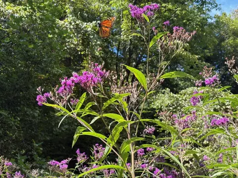 Other - 105 Chambers Fork Rd, Campton, KY 41301 photo 8 of 13