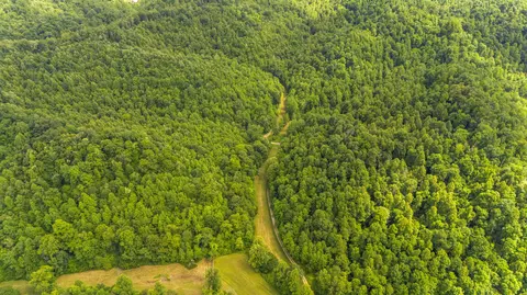 View/Area - 105 Chambers Fork Rd, Campton, KY 41301 photo 4 of 6