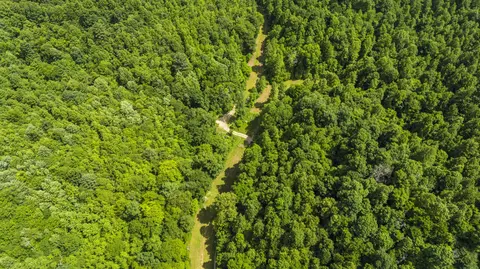 View/Area - 105 Chambers Fork Rd, Campton, KY 41301 photo 1 of 6