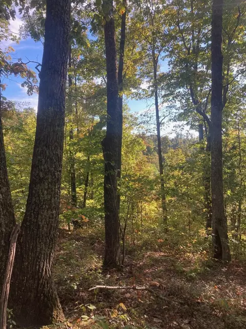 Other - 105 Chambers Fork Rd, Campton, KY 41301 photo 5 of 13