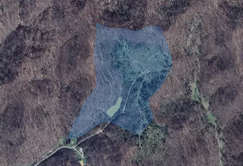 0 Bean Fork Rd, Jackson, KY 41339 photo 2