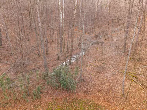 Other - 2581 Corder Flats Rd, Strunk, KY 42649 photo 22 of 22