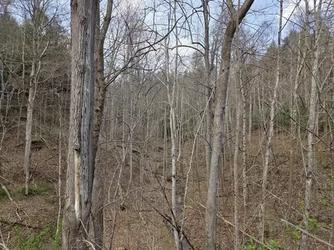 105 Kentucky 80 # 00, Louisa, KY 41230