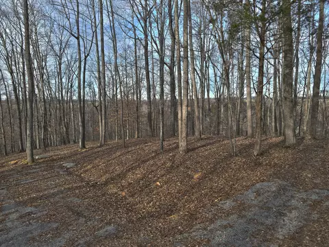 47 Carson Rd, Russell Springs, KY 42642
